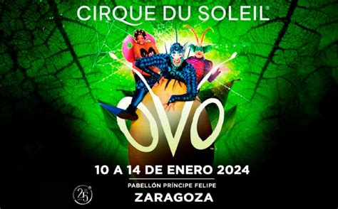 entradas ovo zaragoza|CIRCO DEL SOL: OVO